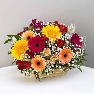 Корзина разноцветных гербер