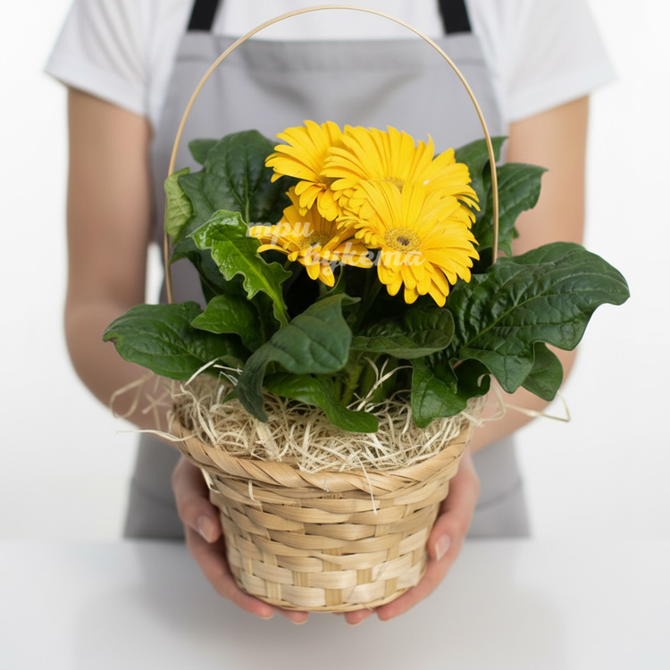 Корзина с желтыми герберами