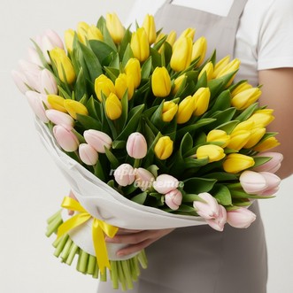 101 желтый и белый тюльпан в сетке