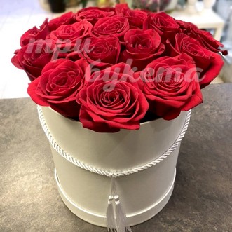 19 красных роз в коробке