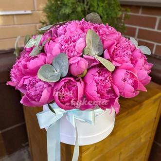 19 пионов в коробке