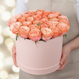 27 пионовидных роз в коробке