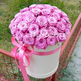 51 розовая роза в коробке