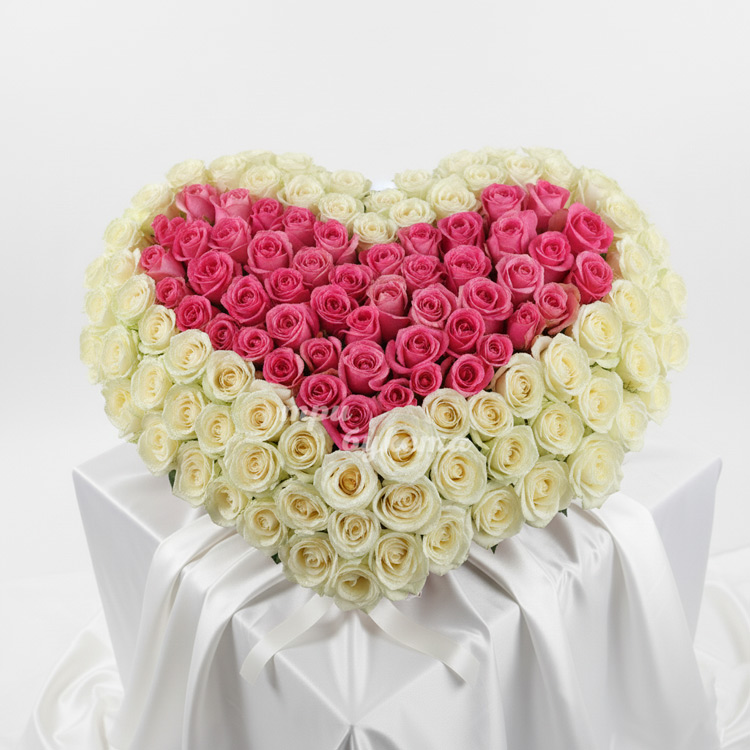 Бело-розовое сердце из 151 розы