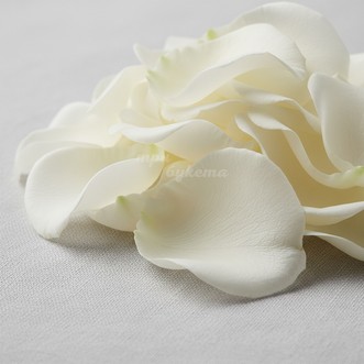 Белые лепестки роз