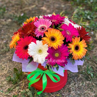 Герберы в шляпной коробке