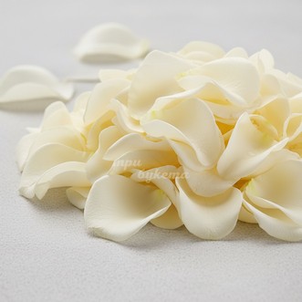 Кремовые лепестки роз