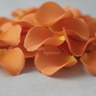 Оранжевые лепестки роз