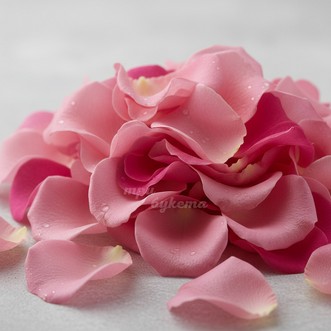 Розовые лепестки роз