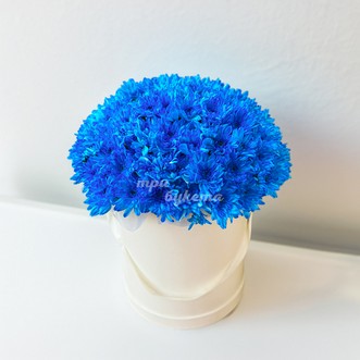 Синие хризантемы в коробке