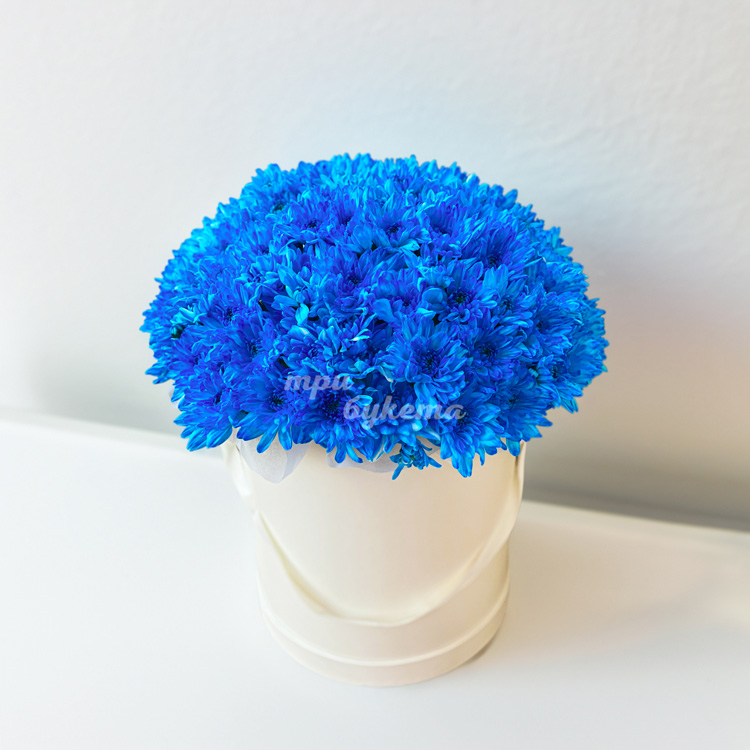 Синие хризантемы в коробке