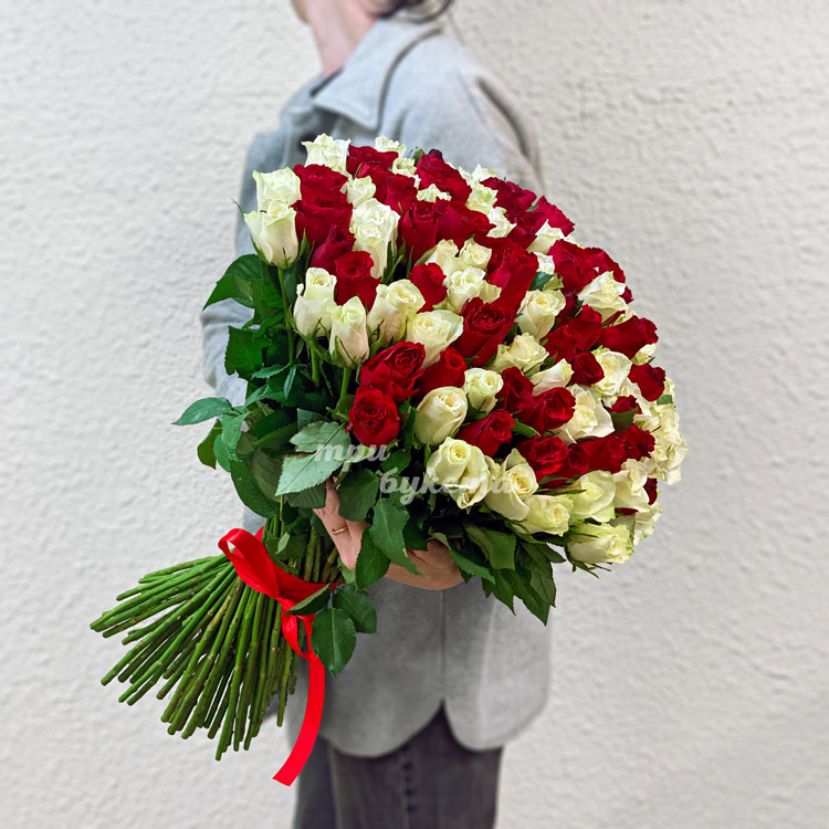 101 красная и белая роза 70 см.