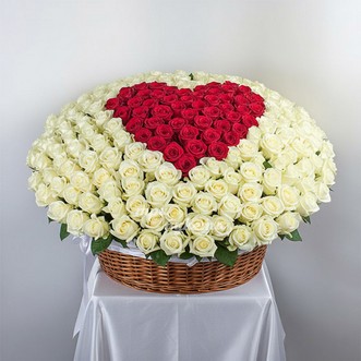 501 роза в ассортименте