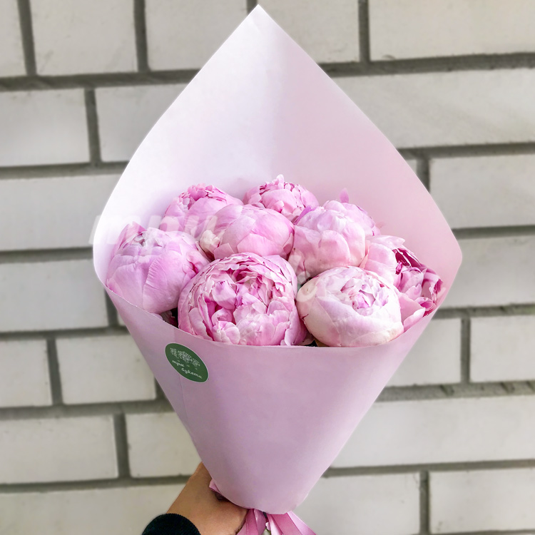 9 пионов Сара Бернар в Premium упаковке