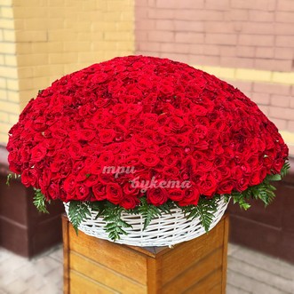 1001 красная роза в корзине