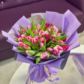 Букет из 35 розово-белых тюльпанов