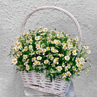 Небольшая корзинка с ромашками