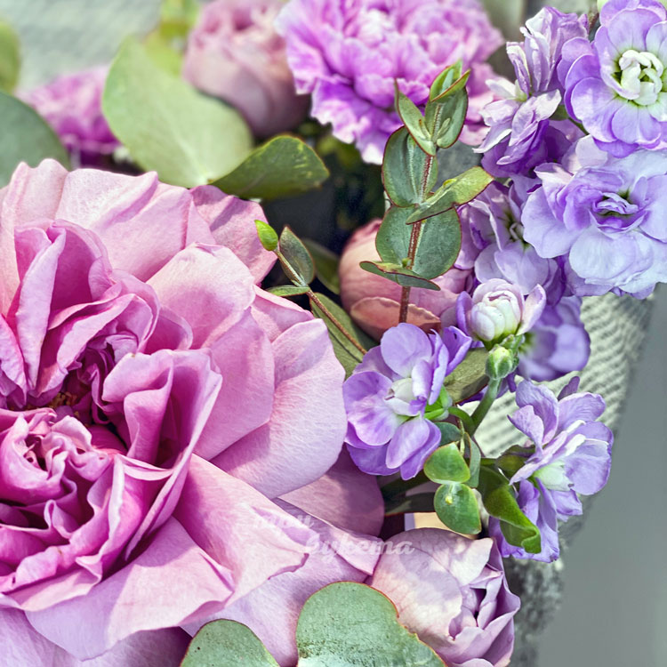 Коробочка сиреневых гвоздик и роз (крупный план)