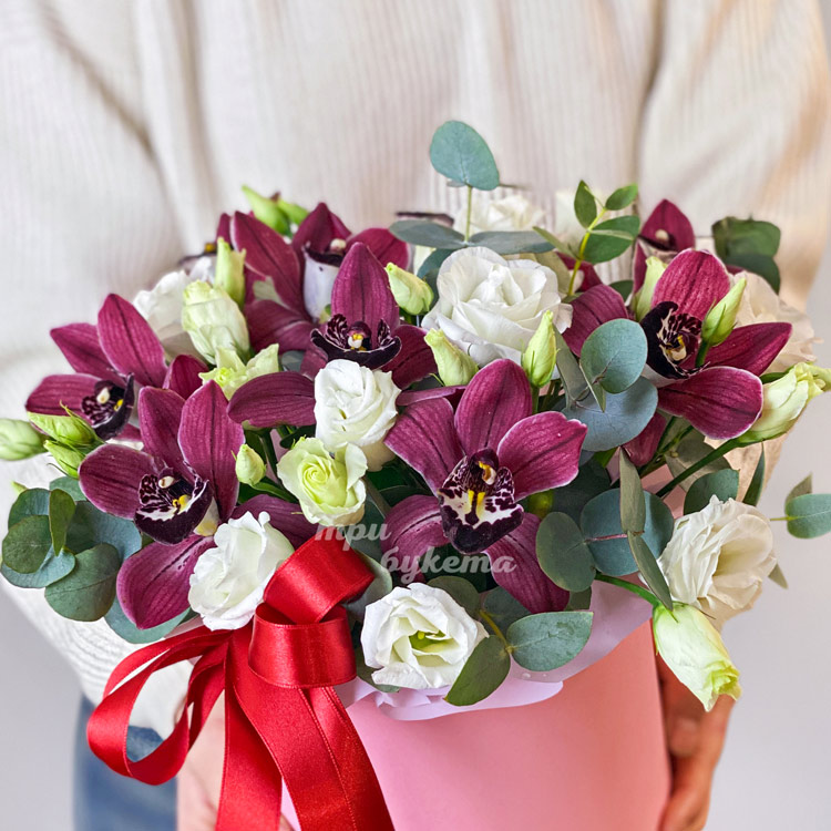 Коробка бордовых орхидей и белых эустом (крупный план)