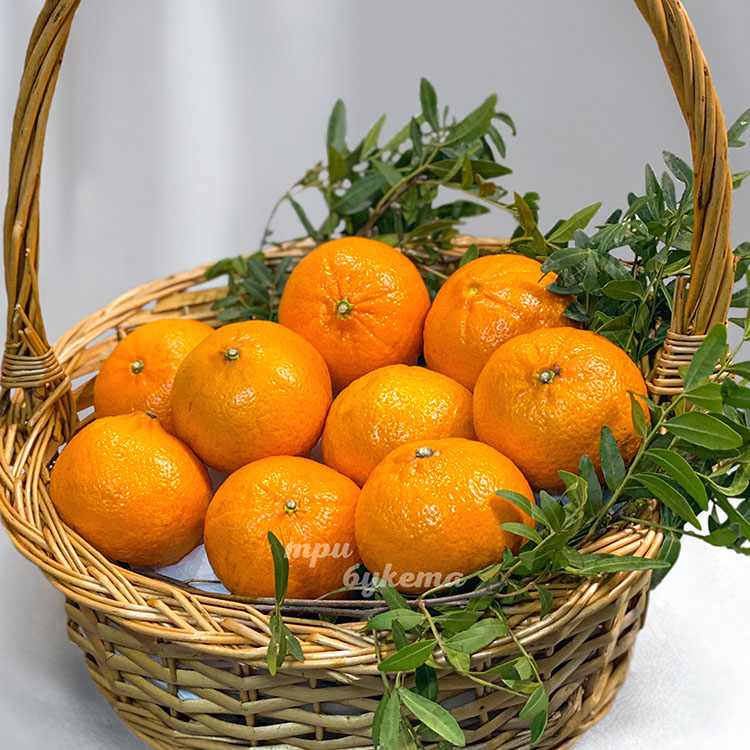 Корзинка с мандаринами и фисташкой (крупный план)